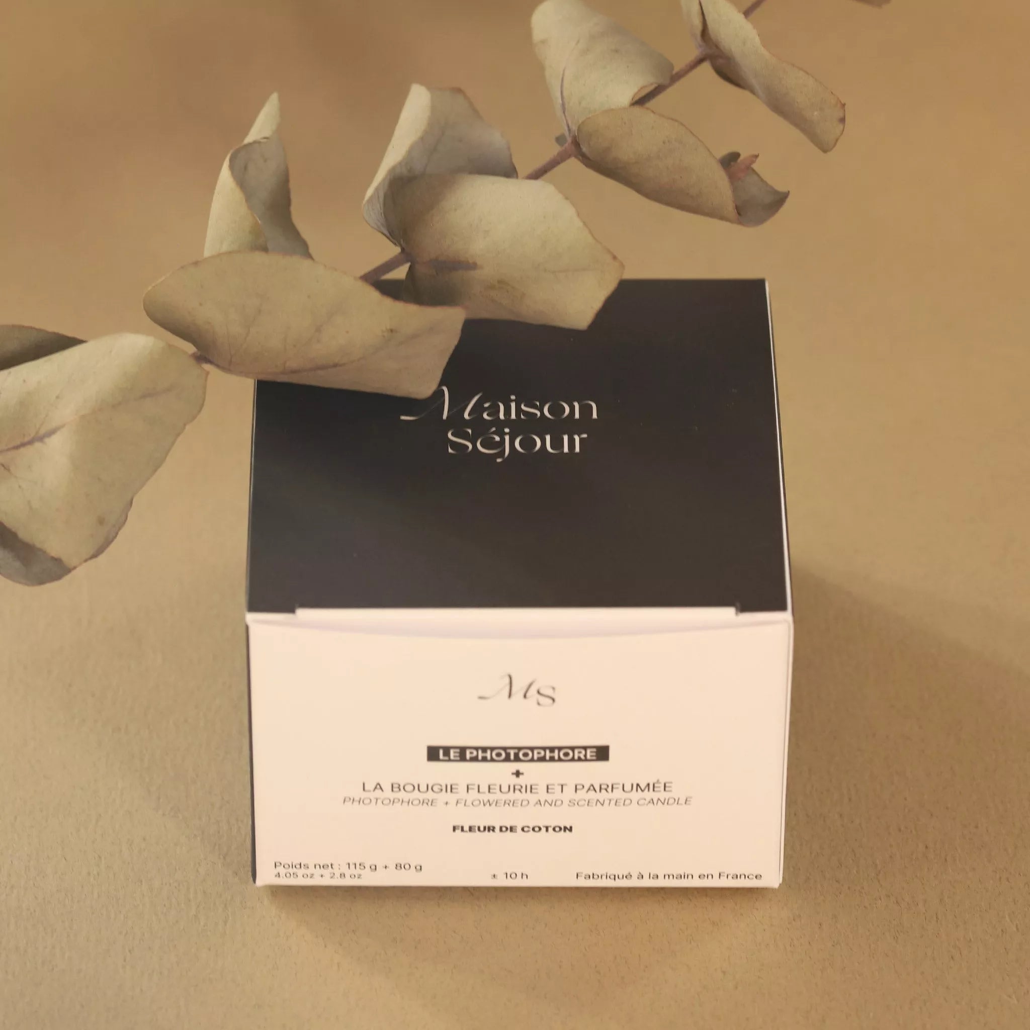 Kit Photophore - Maison Séjour