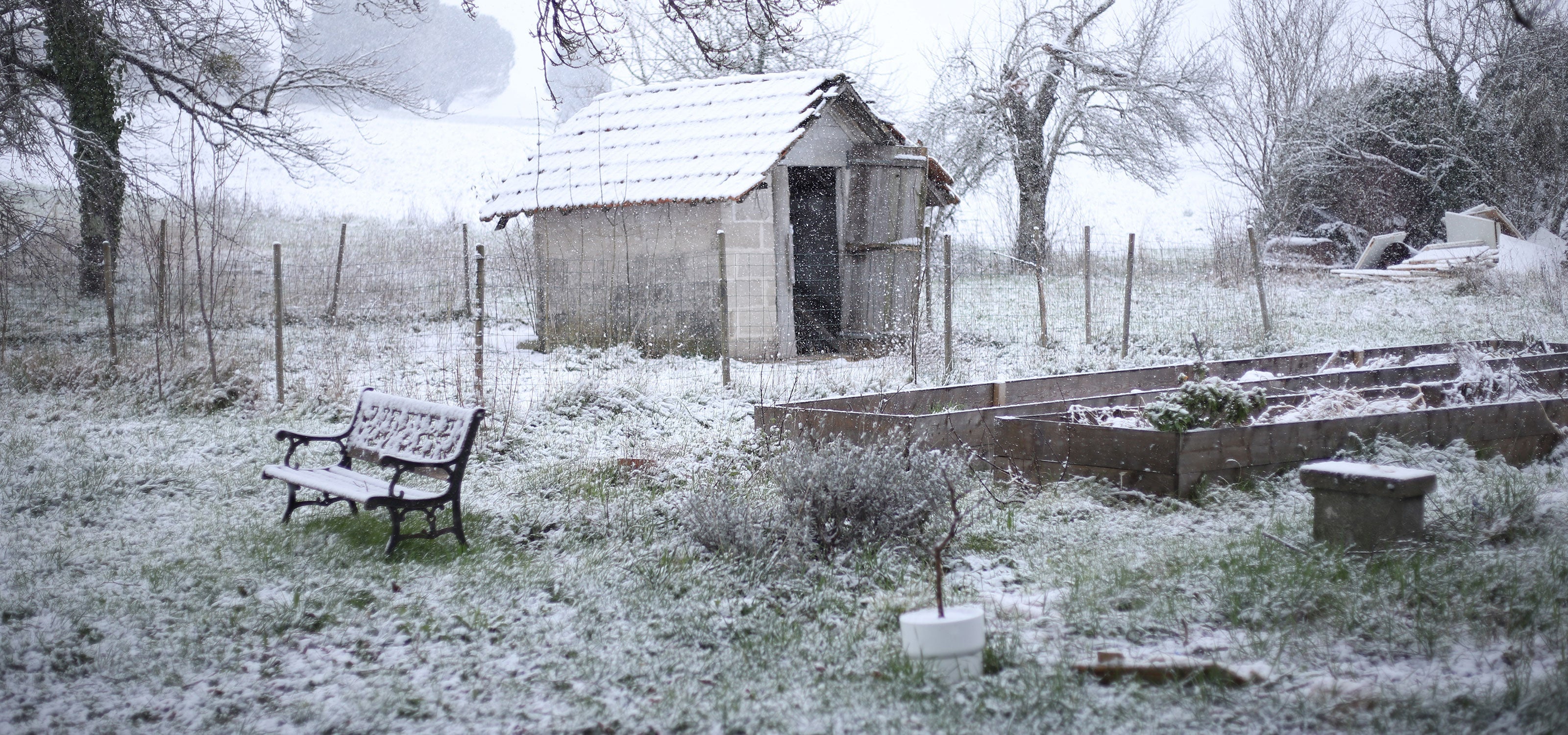 Entretenir le jardin en hiver