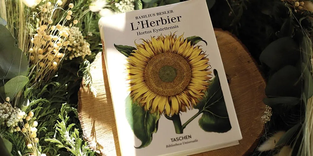Notre sélection littéraire de l'été