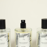 Brume d'ambiance - Rose du Séjour